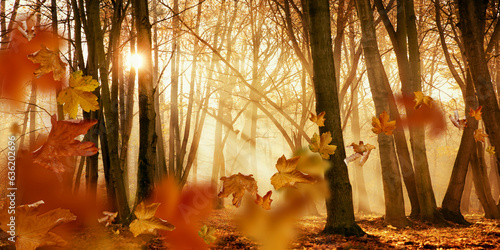 poranna mgła w lesie, promienie słońca i spadające liście, autumn forest