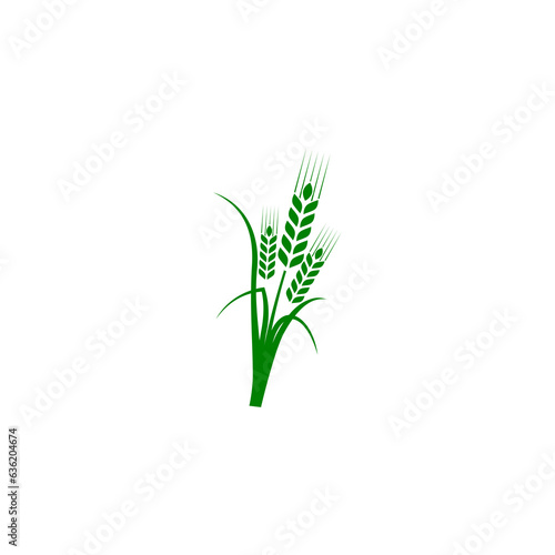 Wheat ears or rice icon isolated on transparent background