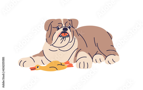 Cute dog and canine duck, chewing squeaky toy. Funny puppy, doggy of English bulldog breed. Adorable pup pet relaxing, lying after playing game. Flat vector illustration isolated on white background