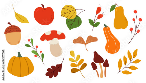 Set of autumn elements. Pumpkin, mushrooms, autumn leaves, rose hip, acorn, apple, pear hand drawn