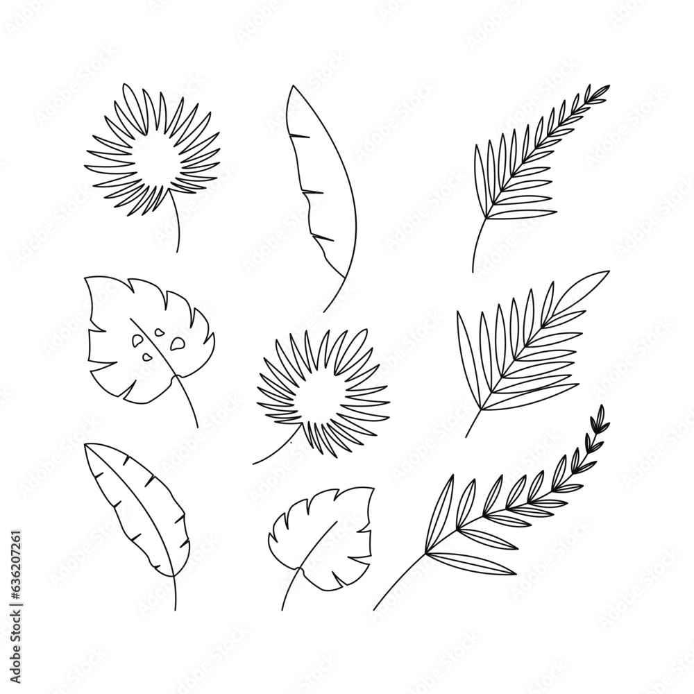 collection set of palm leaves line outline isolated on white background