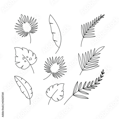 collection set of palm leaves line outline isolated on white background