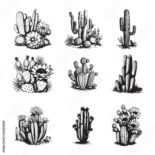 Cactus hand drawn vector set