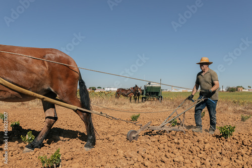 фотографія Middle aged male farmer plowing field near horse in vineyard