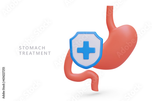 Stomach treatment. Realistic stomach, medical shield with blue cross. Therapy of gastrointestinal tract. Signboard template for gastroenterologist. Medical insurance, hospital services
