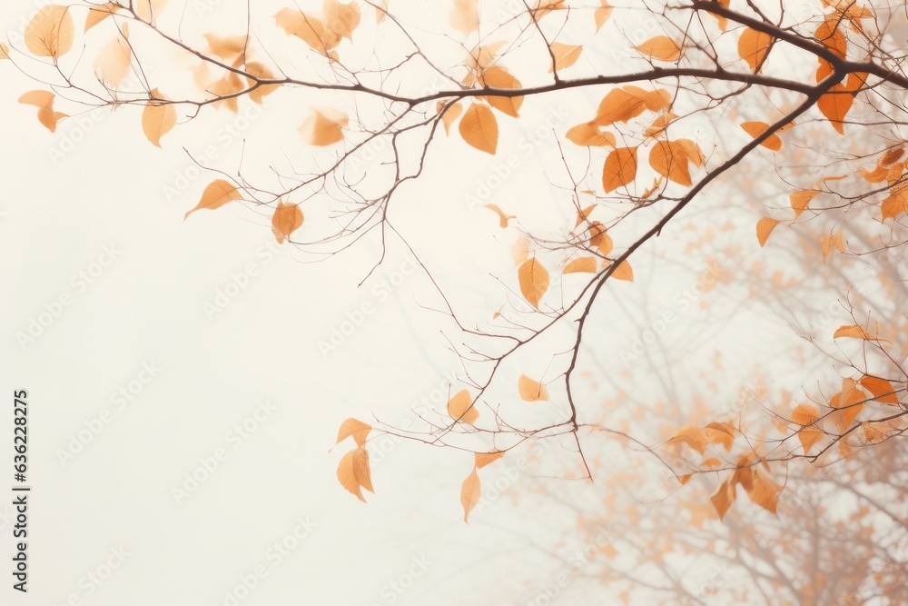Thin branches with orange brown dry leaves in the white fog. Horizontal autumn morning nature concept. 