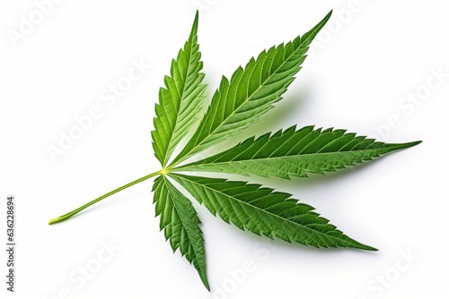 serene leaf of marijuana rests on white background, Generative AI