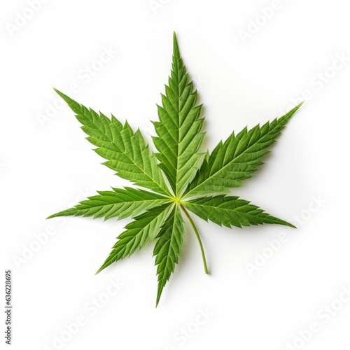 serene leaf of marijuana rests on white background  Generative AI