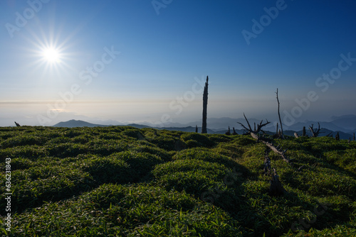 大台ケ原