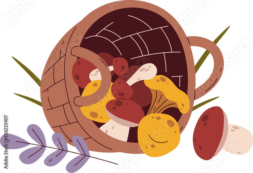 Wicker Basket With Mushrooms