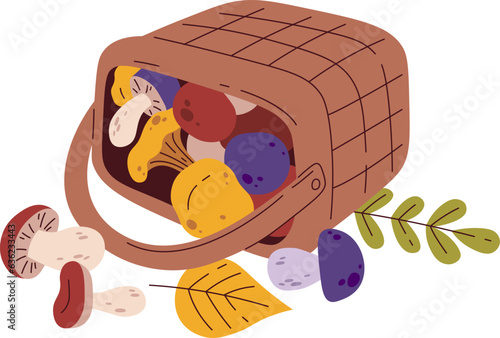 Wicker Basket With Mushrooms