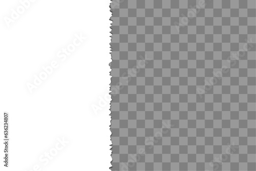 Realistic torn paper. Sheet of paper, torn notebook. Vector illustration.