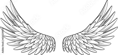 white eagle wings with black outline - on transparent background