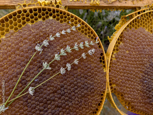 Original lavender honey from the Mediterranean region photo