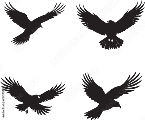 falchi in volo