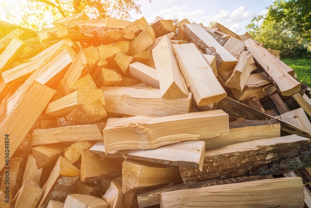Firewood pile with harvested and stacked firewood for firewood and home