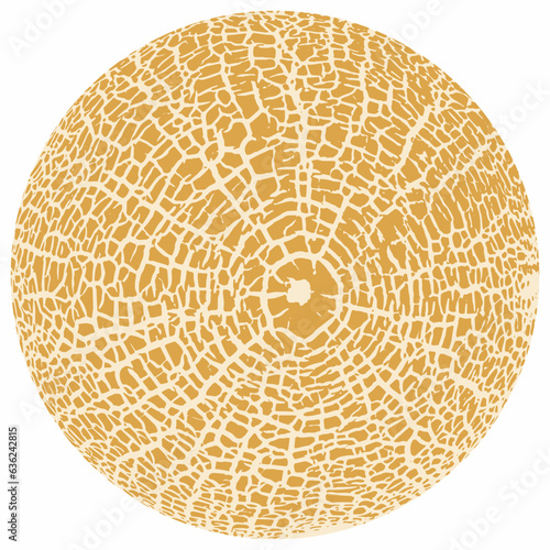 Melon skin texture close up. Round silhouette. Cracked peel structure. Vector yellow  background