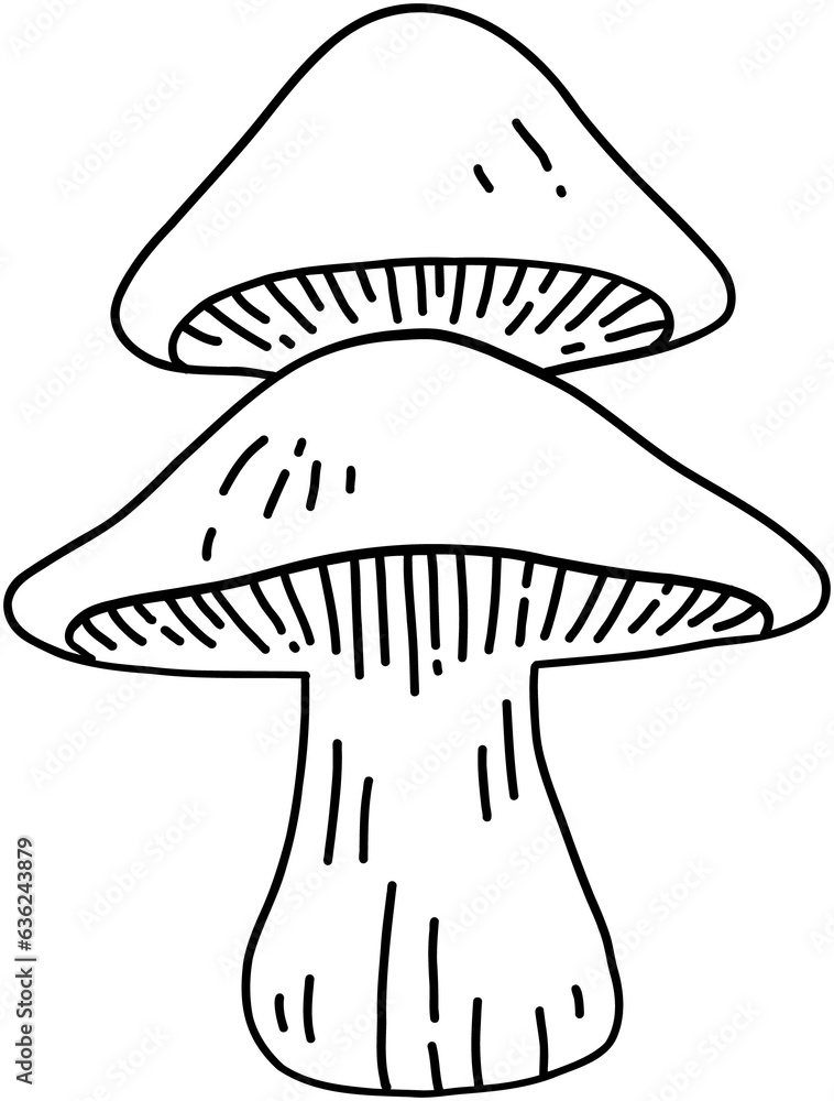 doodle freehand sketch drawing of wild mushroom mushroom. doodle freehand sketch drawing of wild mushroom mushroom.