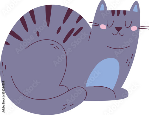 Sitting Funny Cat