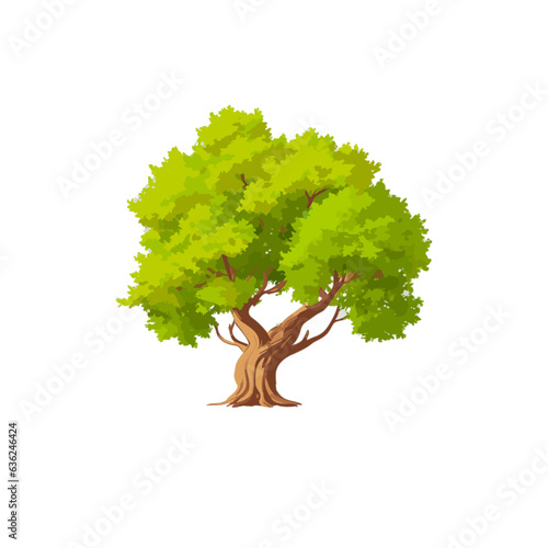 tree with leaves, cartoon tree