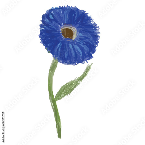 gerbera flower isolated on white