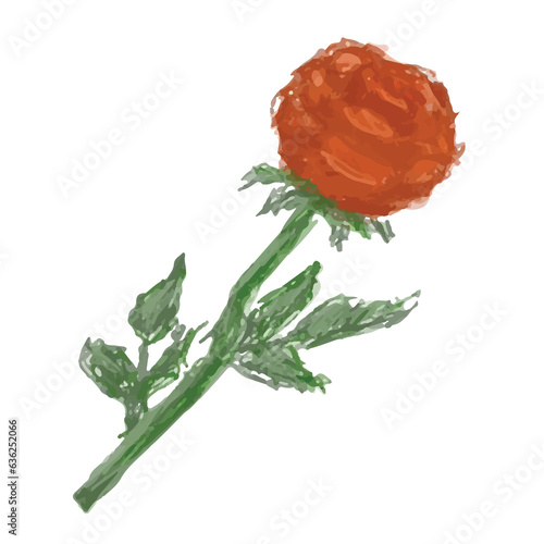 red rose
