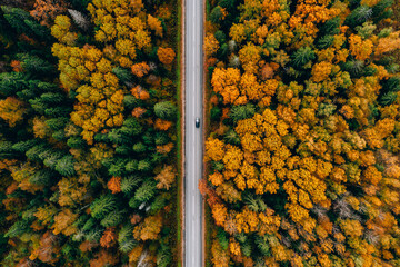 Aerial top view of road with car through fall forest with colorful leaves.