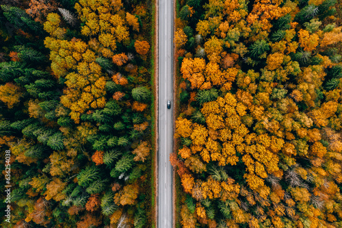 Aerial top view of road with car through fall forest with colorful leaves.