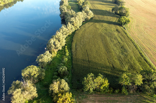 Culture de maïs en bordure de Seine sur la plaine des Ajoux entre Giverny et Vernon photo