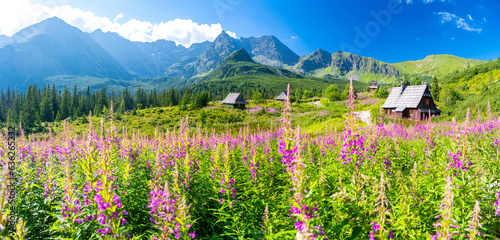 Obraz na płótnie blossom vallay in Tatra mountains during summer in Poland w salonie