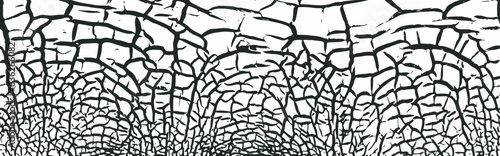 Cracks paint texture, Craquelure structure. Ceramic fragments of a broken tile pattern.  Grunge texture, consisting of fine cracks on the dry clay earth surface. Vector background

