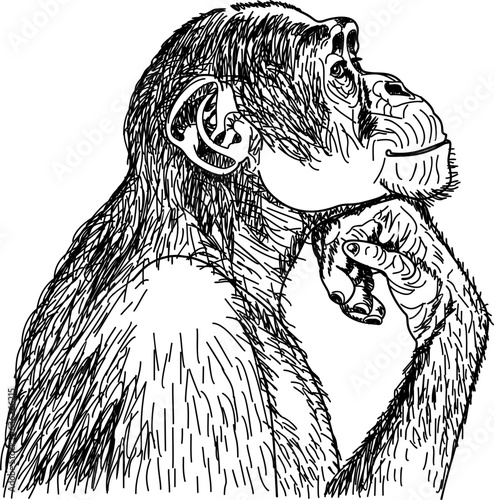 pensive monkey props his chin with his hand