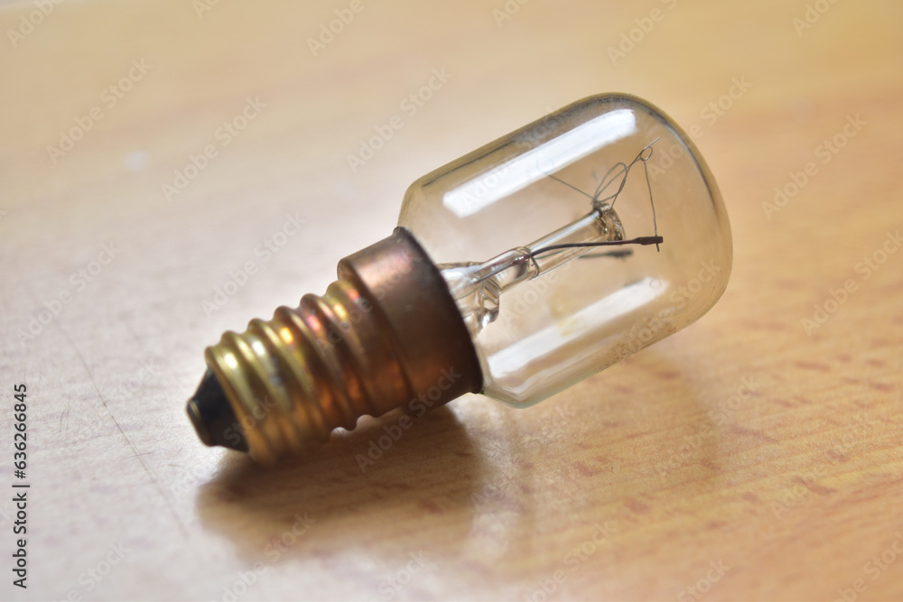 Old mini light bulb. 15W mini light bulb for old refrigerator. Electricity concept Old mini light bulb. 15W mini light bulb for old refrigerator. Electricity concept