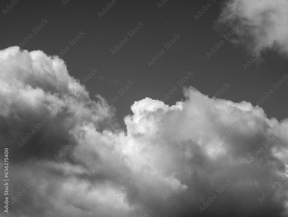 Obraz premium White clouds over sky black and white background. Fluffy cumulus clouds shape