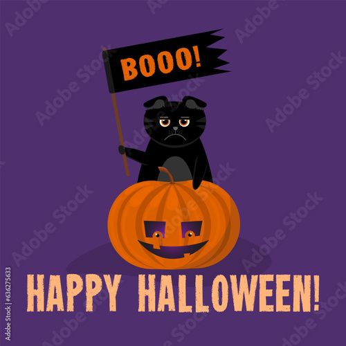 Disgruntled  angry black lop-eared cat with an orange pumpkin. The flag with Boooo. Congratulations on Halloween. Illustration on a purple background.