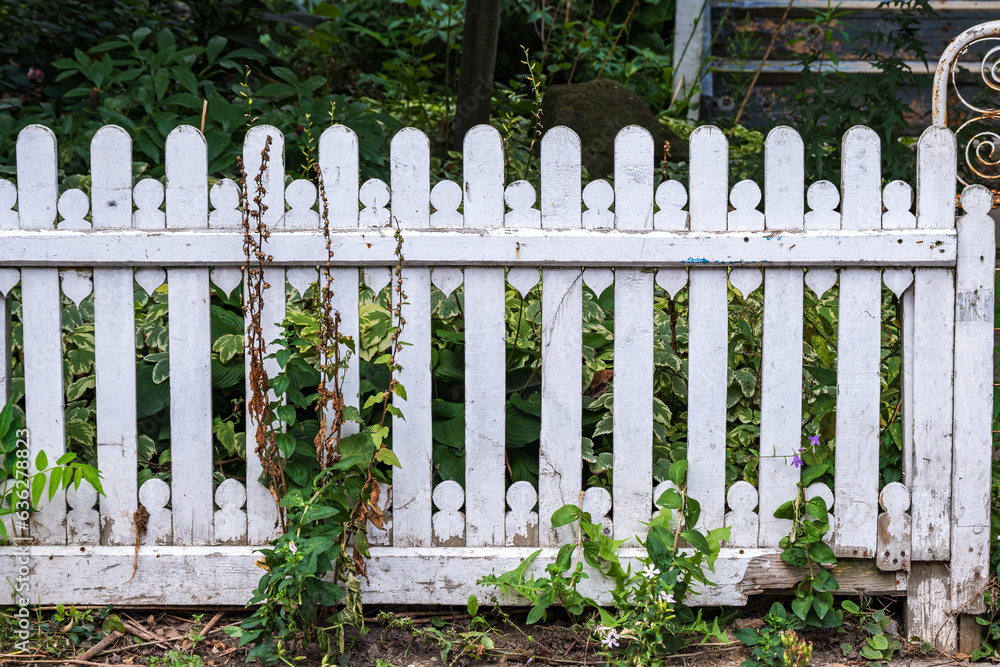 white picket fence (wooden) with weeds and weathered paint