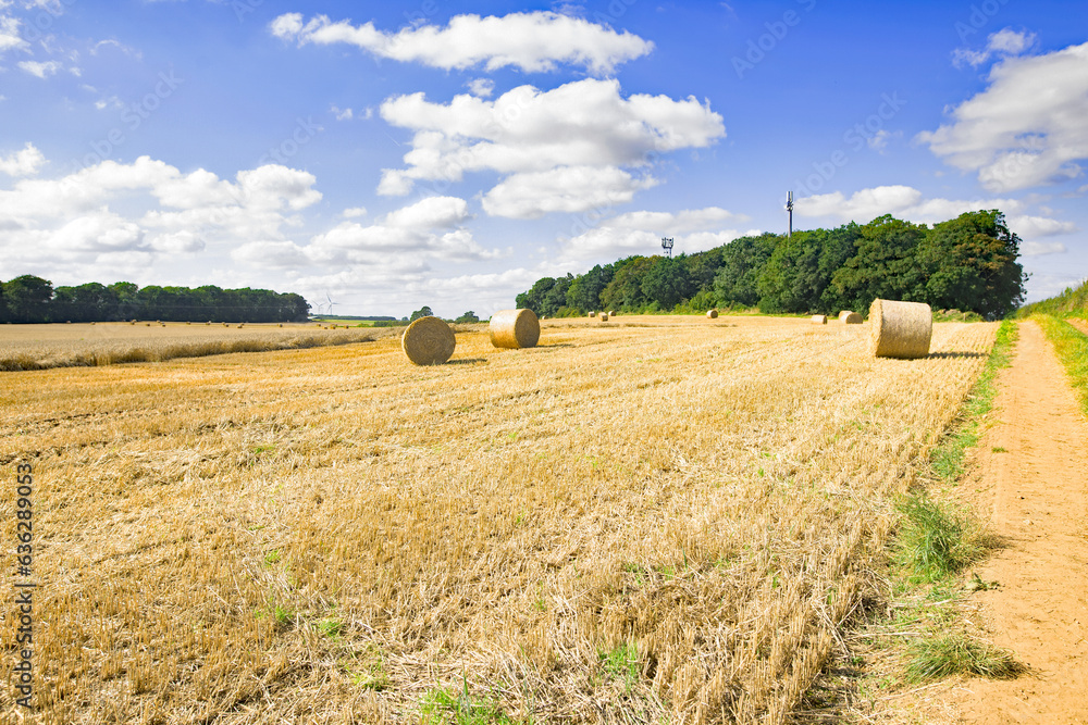 Fototapeta premium Wonderful rural walks in Doncaster.