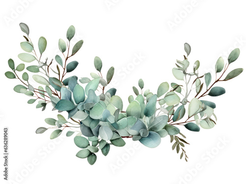 Eucalyptus leaves in watercolor isolated