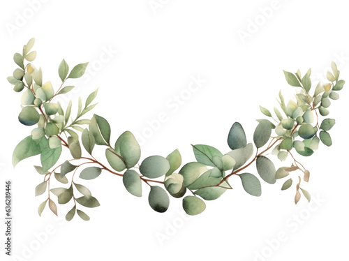 Eucalyptus leaves in watercolor isolated