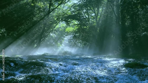 夏の絶景　幻想的な菊池渓谷の光芒

