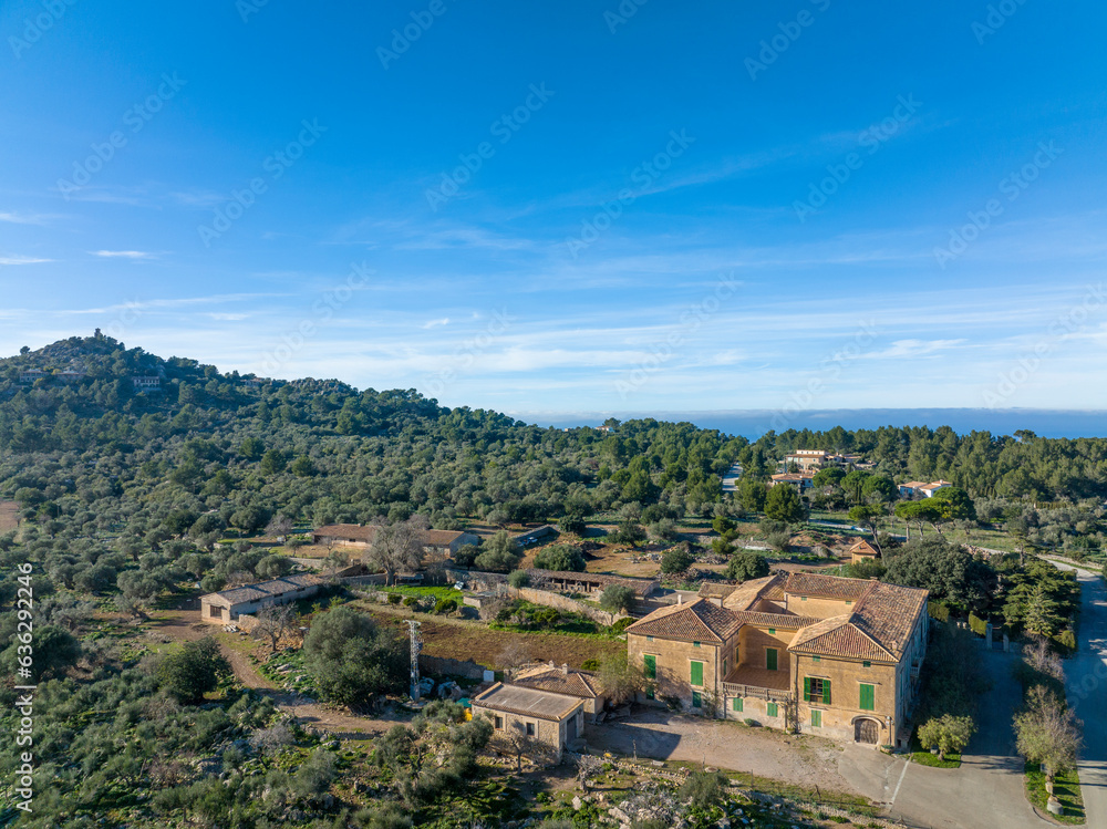 Aerial view, Spain, Balearic Islands, Mallorca, Valldemossa, agricultural property