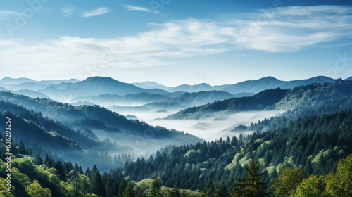 Panoramic banner depicting a wide and long view of forested hills, mountains, and trees in the Black Forest region of Germany.