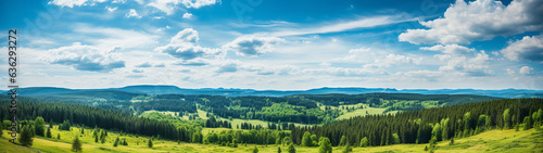 Panoramic banner showcasing an extensive and elongated perspective of a forested landscape with trees in the Black Forest region of Germany. 