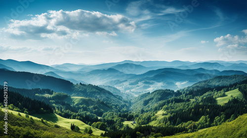 Panoramic banner depicting a wide and long view of forested hills, mountains, and trees in the Black Forest region of Germany.  © Julia