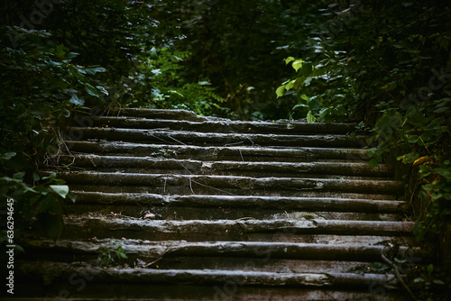 Dark ruined old stone staircase overgrown with impenetrable green bushes