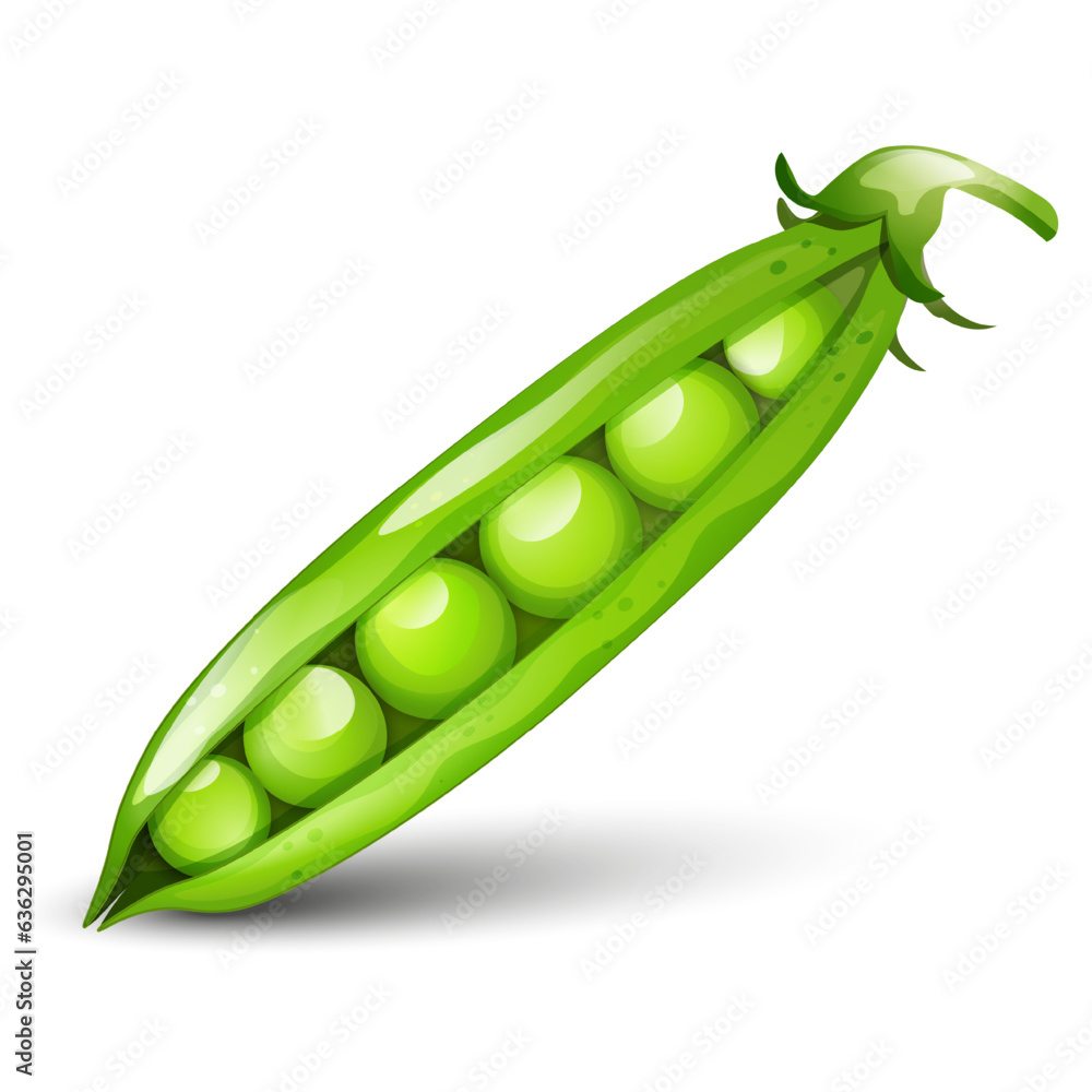 Pease vector on white background Pease vector on white background