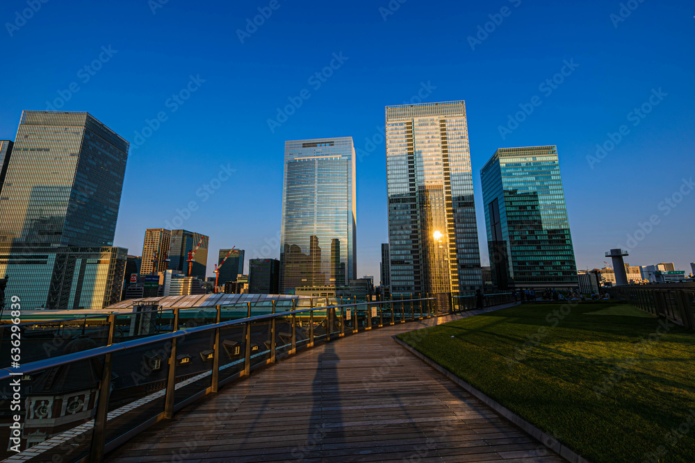 Fototapeta premium 都市景観