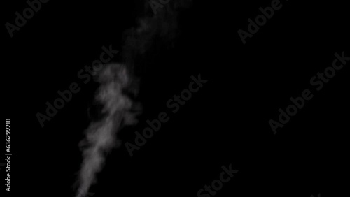 Rising up, writhing, changing its shape smoke, steam, gas, condensate on a black background. Swirling, writhing smoke to overlay