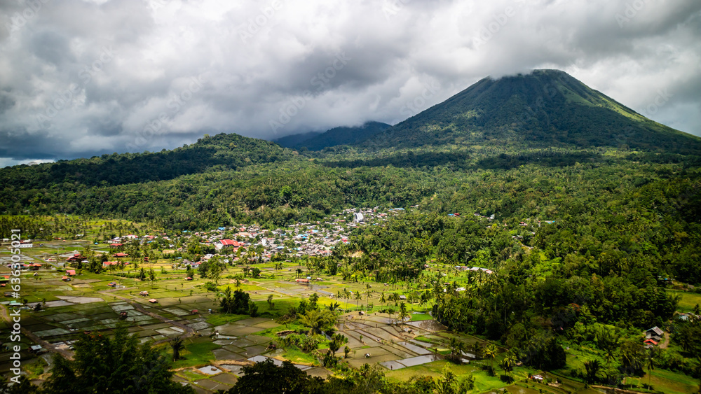 Fototapeta premium stunning rice fields at the foot of the mountain