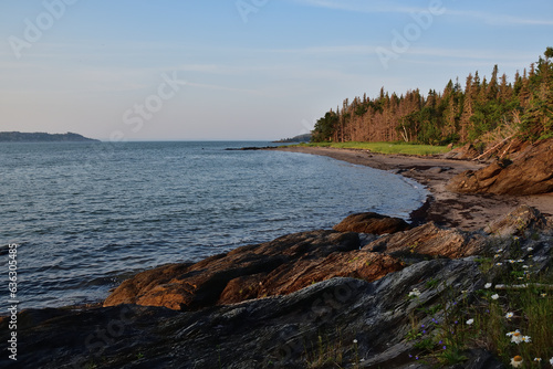 St-Lawrence river shore line at sunrise. Exposed rocks and tree line. Ile aux Lièvres